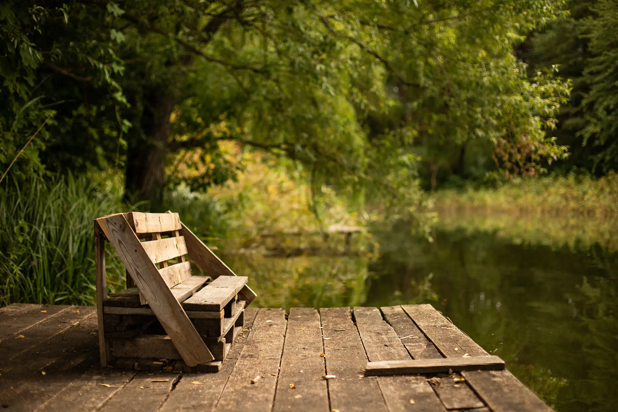 Eine Holzban steht auf einem Steg, der in einen Waldsee ragt.